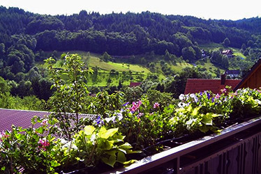 Blick vom Balkon - Sigis Ferienwohnungen